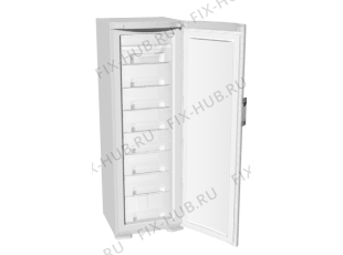 Холодильник Gorenje FPN6130W (170034, ZOF2467C) - Фото